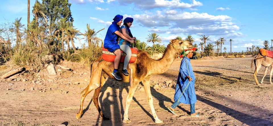 Marrakech: Camel Ride in the Palm Grove - Directions