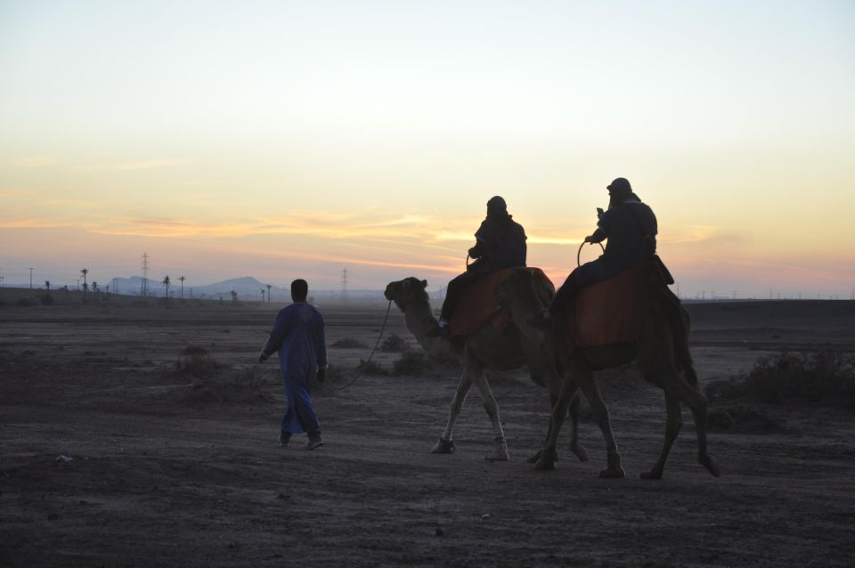 Marrakech : Camel Ride in the Palm Grove With Transport - Common questions