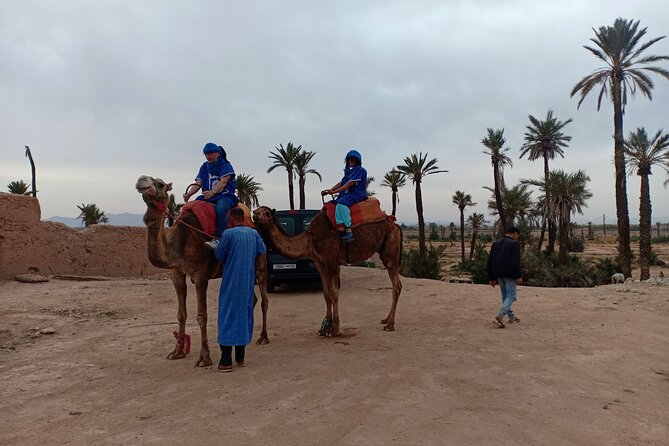 Marrakech Camel Safari at Agafay Desert - Legal Information