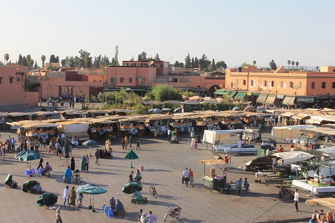 Marrakech City Tour With Private Driver - Assistance and Support Details
