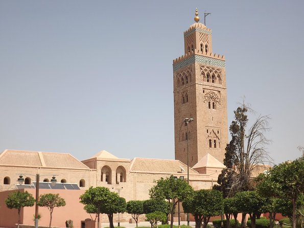 Marrakech Day Trip From Agadir & Taghazout - Last Words & Recommendations