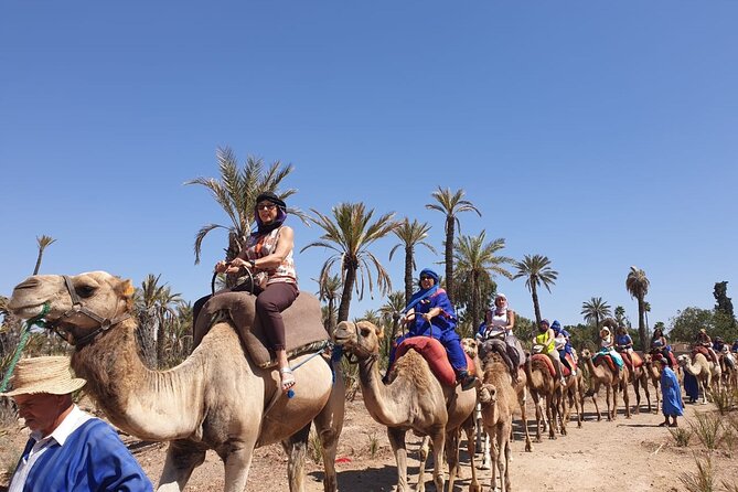 Marrakech Desert Camel Ride - Additional Information