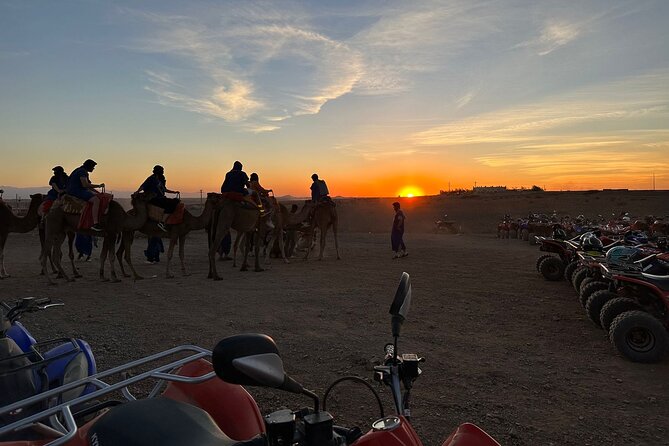 Marrakech: Desert & Palm Grove Package, Quad, Camel Ride & Dinner - Contact Details