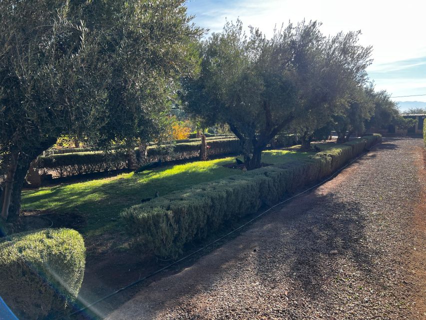 Marrakech: Experience Yoga in Nature's Haven - Detox Day - Helpful Directions for Visitors