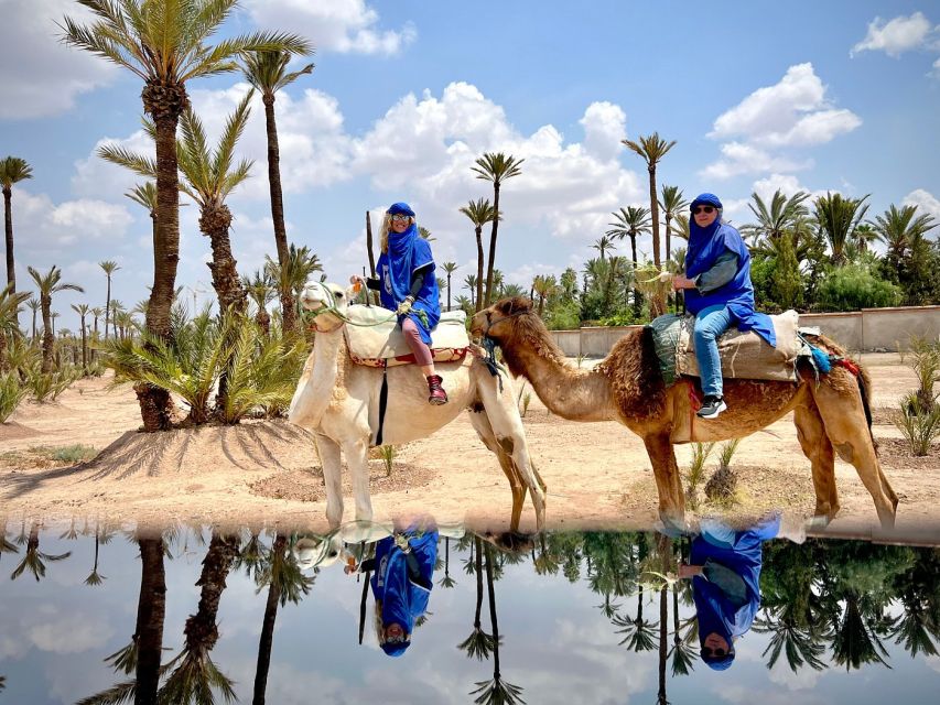 Marrakech Full-Day Excursion From Casablanca With Camel Ride - Vehicle Amenities