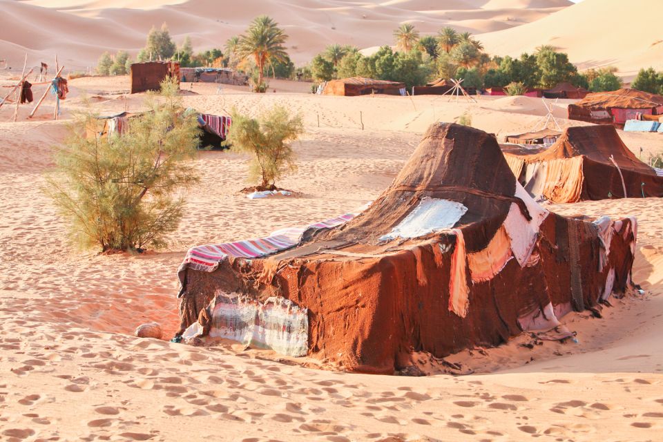 Marrakech: Half-Day Desert Quad & Dromedary Tour - Additional Information