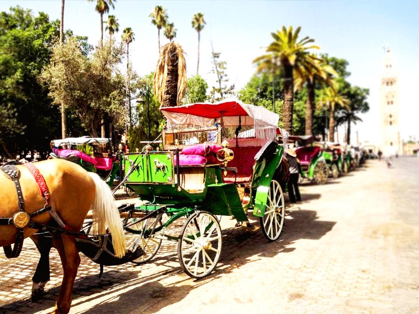 Marrakech: Horse-Drawn Carriage Tour - Driver Language Skills