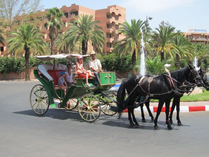 Marrakech: Majorelle & Menara Gardens Tour & Carriage Ride - Horse Carriage Ride