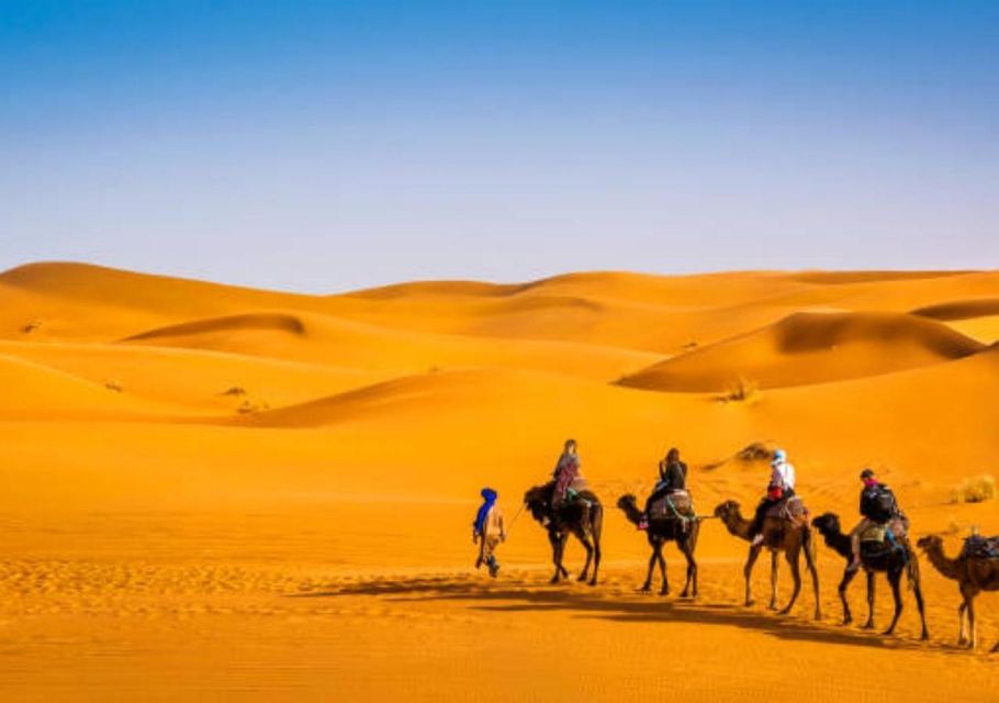 Marrakech: Merzouga 3-Day Desert Tour W/Quad & Camel Rides - Last Words