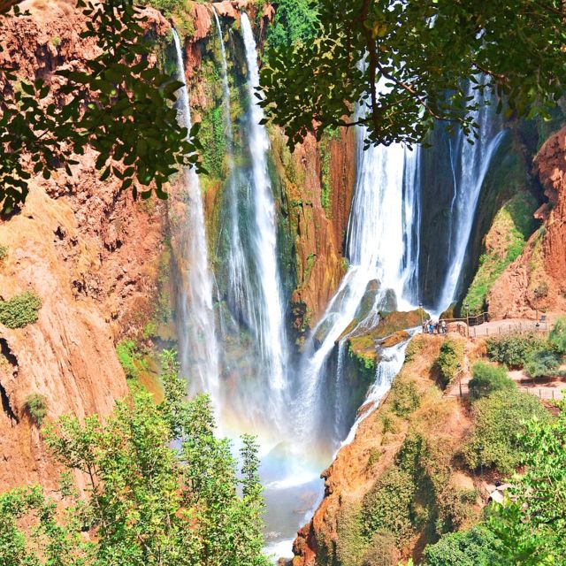 Marrakech: Ouzoud Waterfalls Day Trip With Guide & Boat Ride - Local Guide Experience