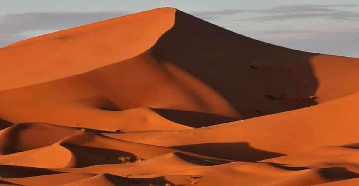 Marrakech: Overnight Sahara Tour to Zagora & Ait Ben Haddou - Sahara Desert Adventure