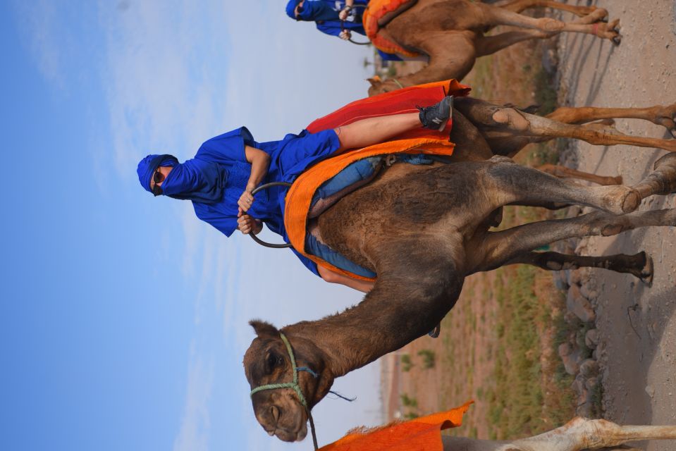 Marrakech: Pack Quad and Camel Ride in the Palm Grove - Direct Pick-Up Service