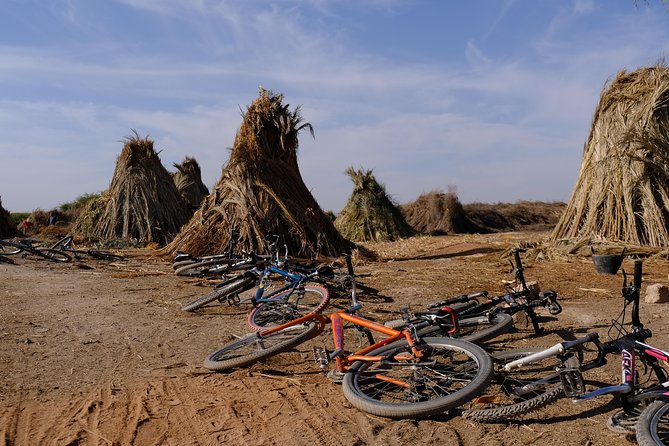 Marrakech Palm Grove Cycling, Local Community & Picnic Tour - Last Words