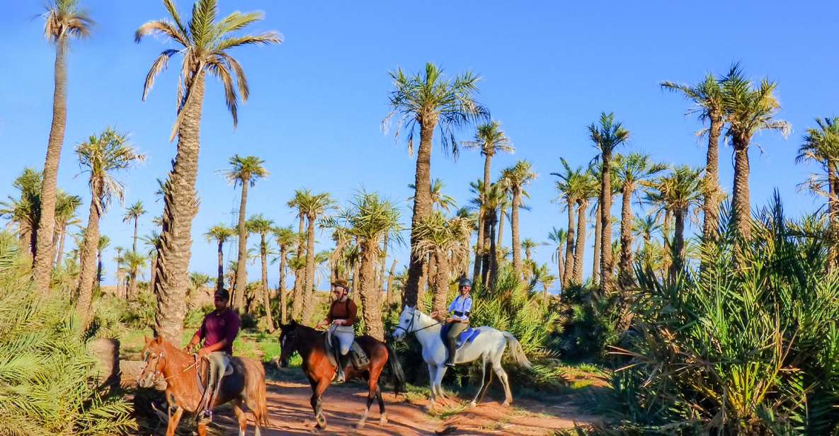 Marrakech: Palm Grove Horseback Riding Tour - Additional Information