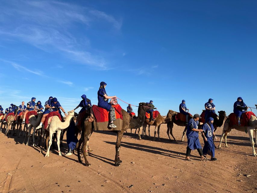 Marrakech: Palm Grove Package, Quad & Camel, Tea & Transfert - Directions for Memorable Adventure