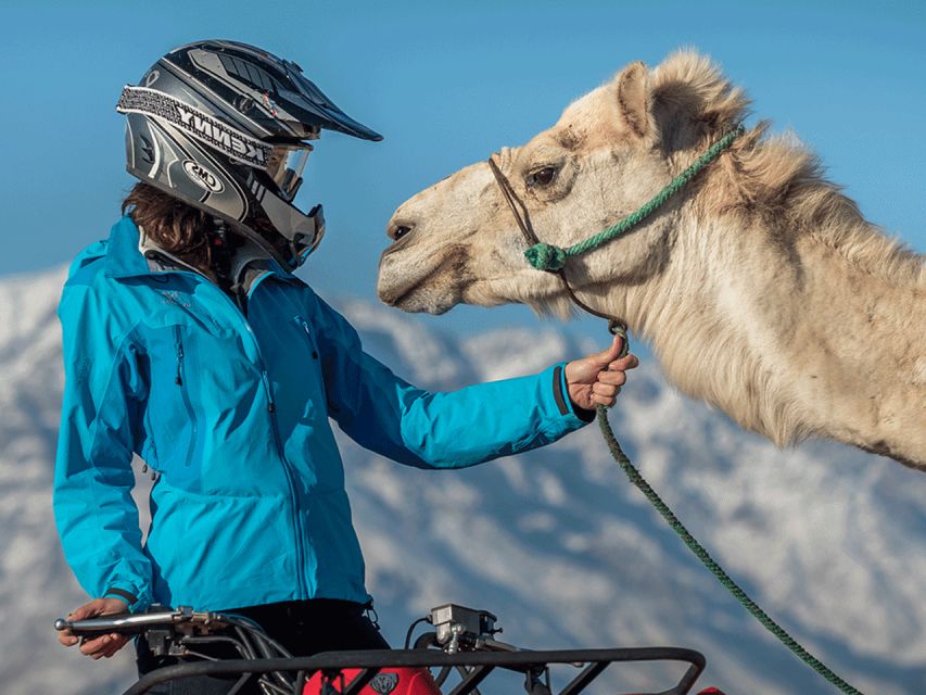 Marrakech Palmeraie : Exciting Camel Ride & Quad Bike - Last Words