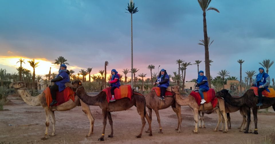 Marrakech: Private Palm Grove Camel and Quad Bike Ride - Last Words