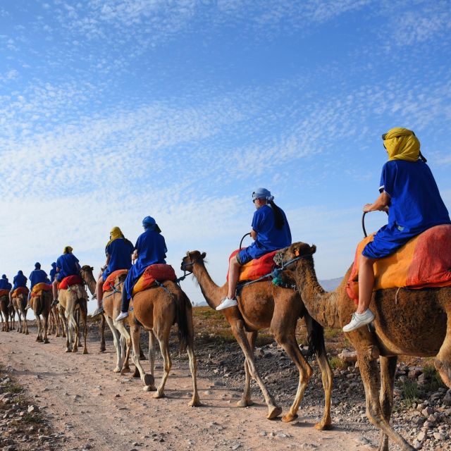 Marrakech: Quad Bike and Camel Ride in Marrakech - Practical Information and Location