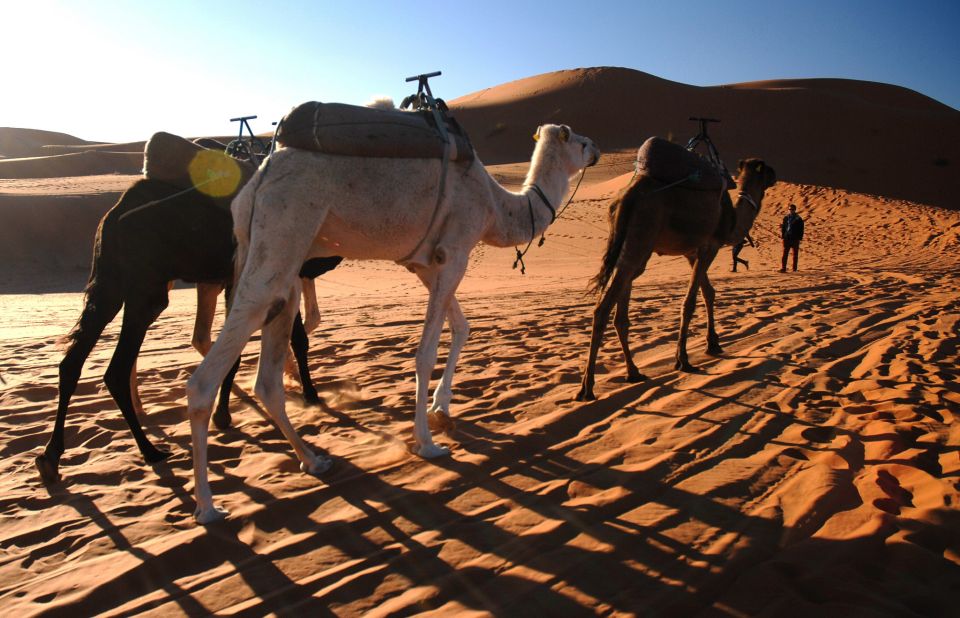 Marrakech: Sahara Desert 3-Day Trip - Return Journey to Marrakech