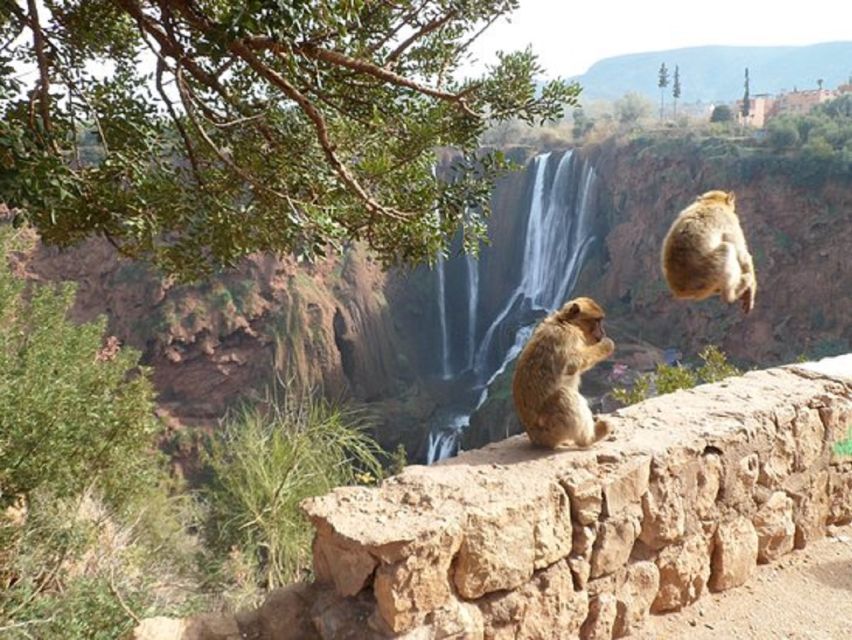 Marrakech To Ouzoud Waterfalls All Exclusive Day Trip - Pricing Information