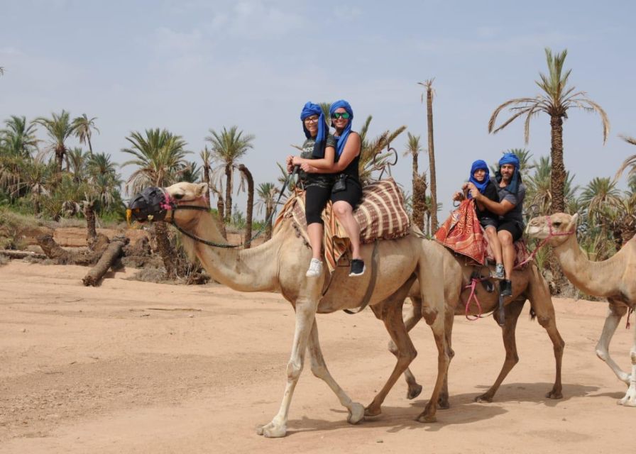 Marrakech:Activities Quad Bik/Buggy/Camel at the Palm Grove - Last Words