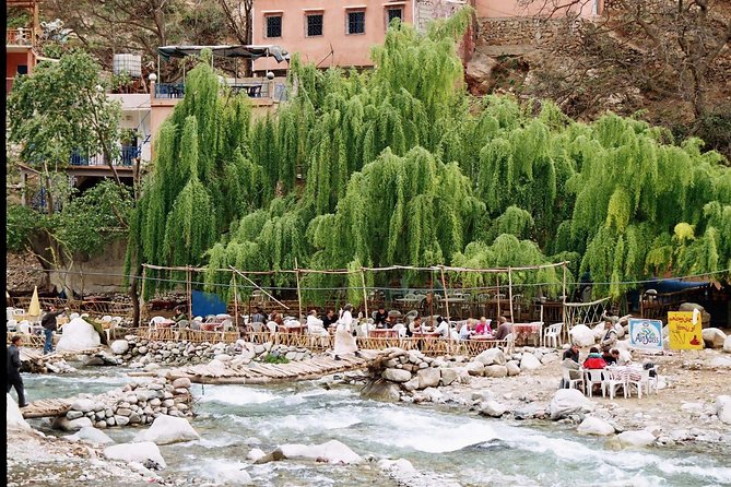 Marrakesh Day Tour to Atlas Mountains - Berber Village Visit