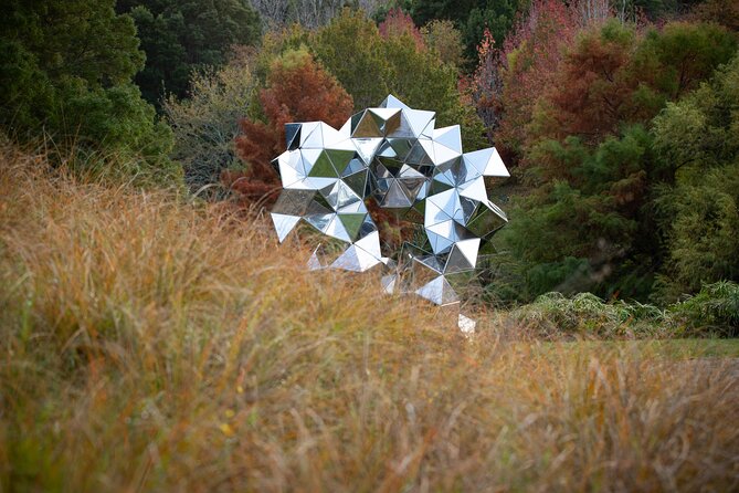 Matakana Art & Vineyard Experience Incl. Lunch & Wine Tasting Tour From Auckland - Last Words