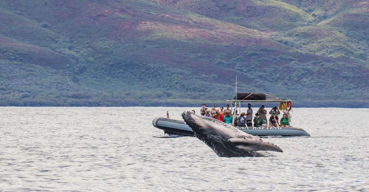 Maui: Guided Whale Watching Tour on Eco Raft - Practical Details