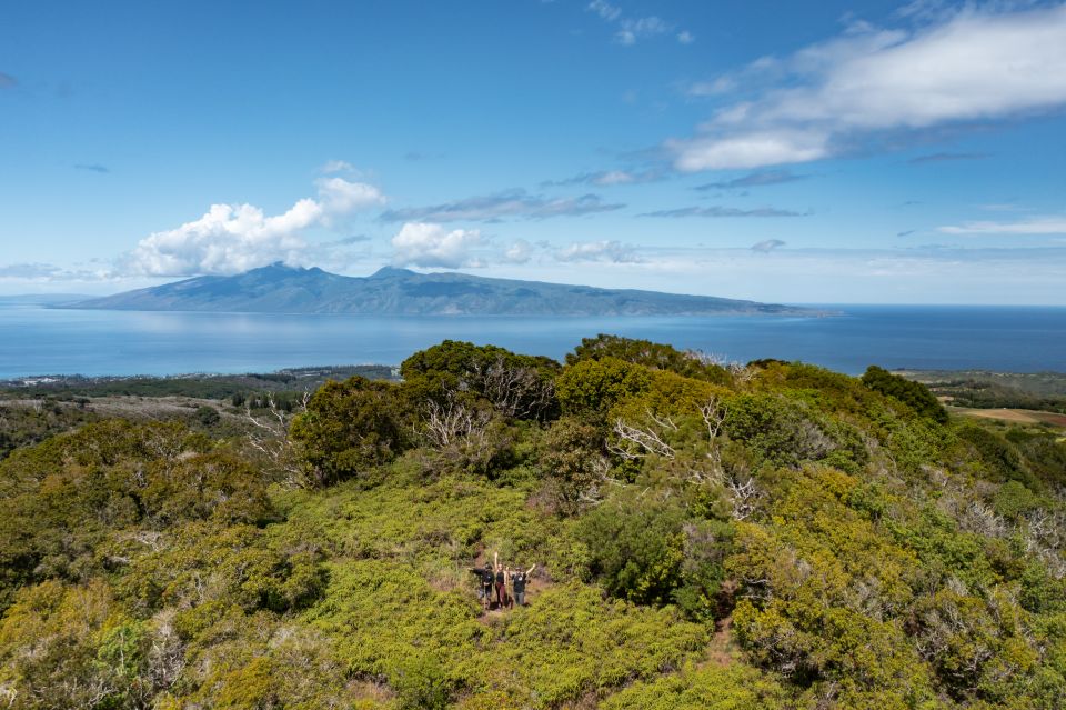 Maui: Honolua Ridgeline Informational Hike - Directions