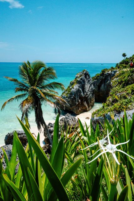 Mayan Tour 4x1: Tulum, Cobá, Cenote & Playa Del Carmen - Transportation and Pickup