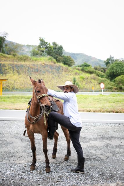 Medellin: Coffee Tour, Horseback Arrival, and Sugar Cane - Taste of Colombian Cuisine