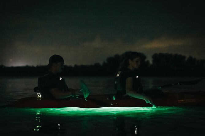 Merritt Island Nighttime LED Kayaking Tour  - Cocoa Beach - Traveler Reviews
