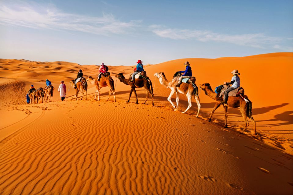 Merzouga: Overnight Camel Trek With Sandboarding - Experience Highlights and Activities