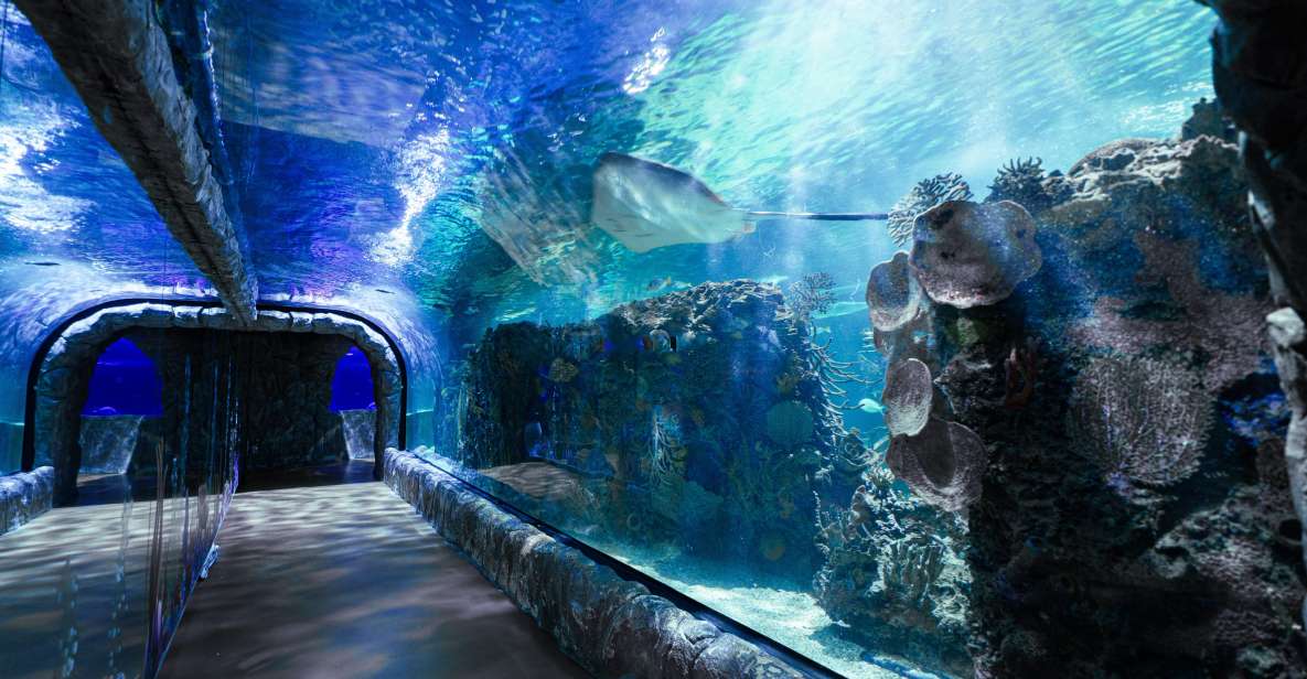 Mexico City: Inbursa Aquarium Ticket With VR Option - Recommendations for a Memorable Visit