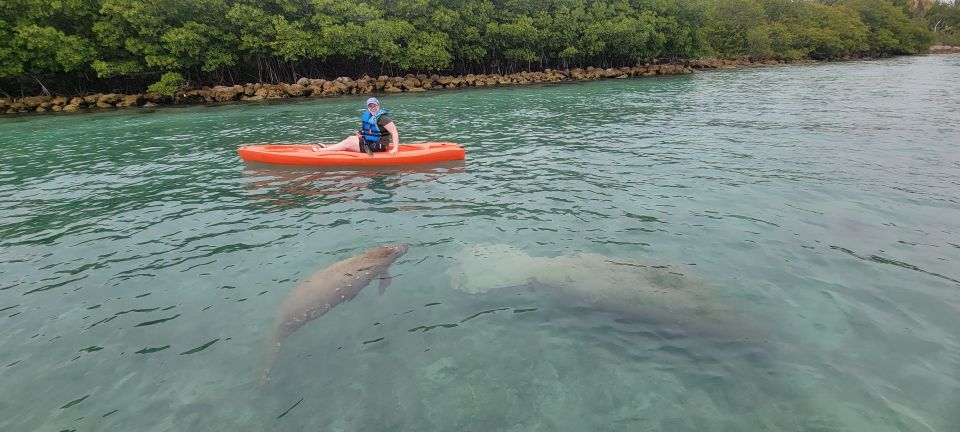 Miami: Island Snorkeling by XXL Stand Up Paddle Board - Safety Measures