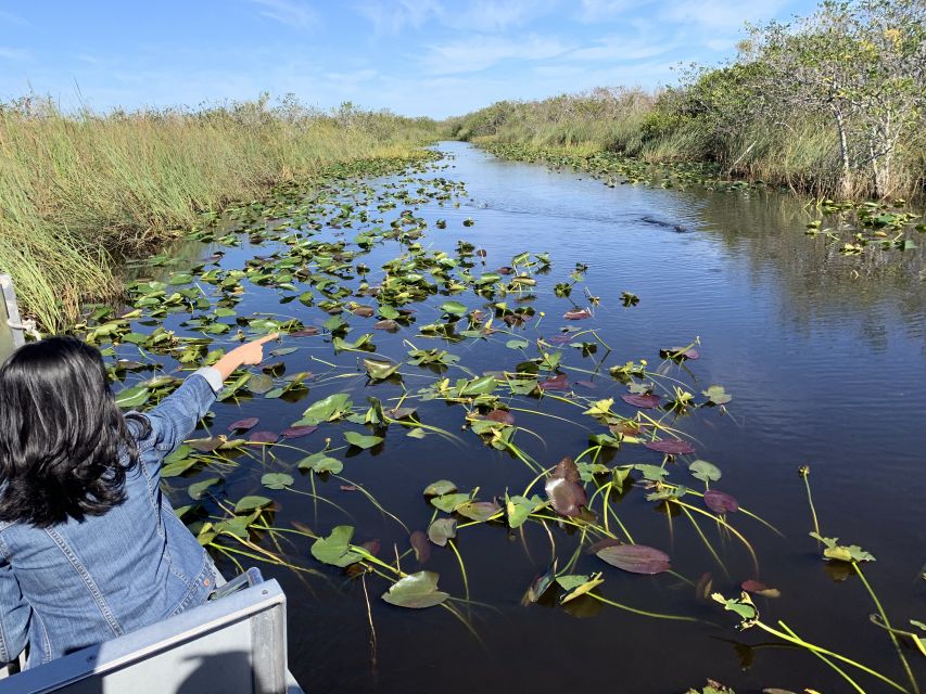 Miami South Beach: Everglades Airboat & Wildlife Experience - Last Words