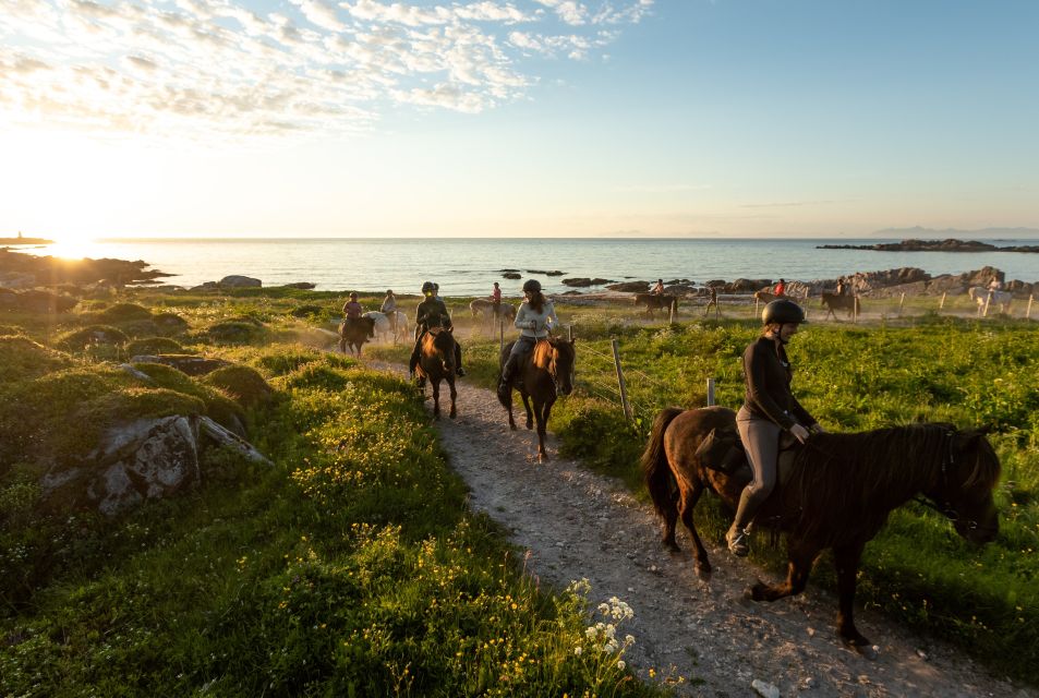 Midnight Sun Tour - Horse Riding Experience