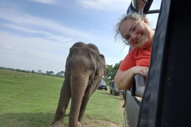 Minneriya National Park Elephant Jeep Safari - Private - Common questions