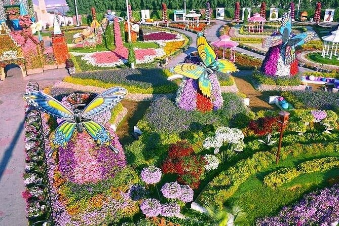 Miracle Garden And Global Village With Transport - Contact Information