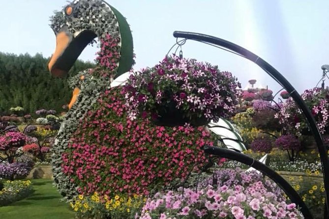 Miracle Garden & Butterfly Garden With Ticket & Private Transfers - Lowest Price Guarantee