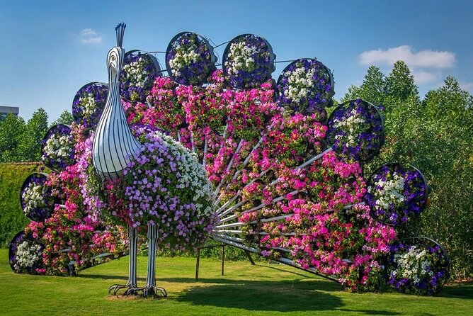 Miracle Garden Dubai Including Pickup & Drop Off - Support and Assistance