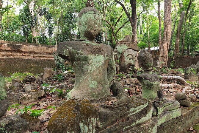 Monks Trails (1 Hour)-Wat Umong- Wat Phalat & Doi Suthep Temple - Reviews and Ratings Summary