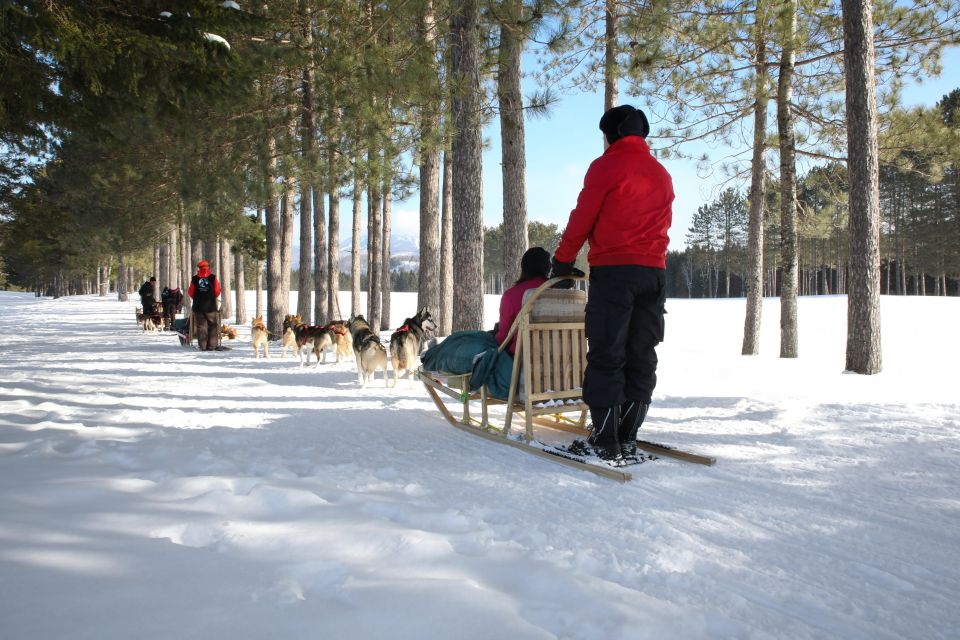 Mont-Tremblant: Dogsledding Experience - Last Words