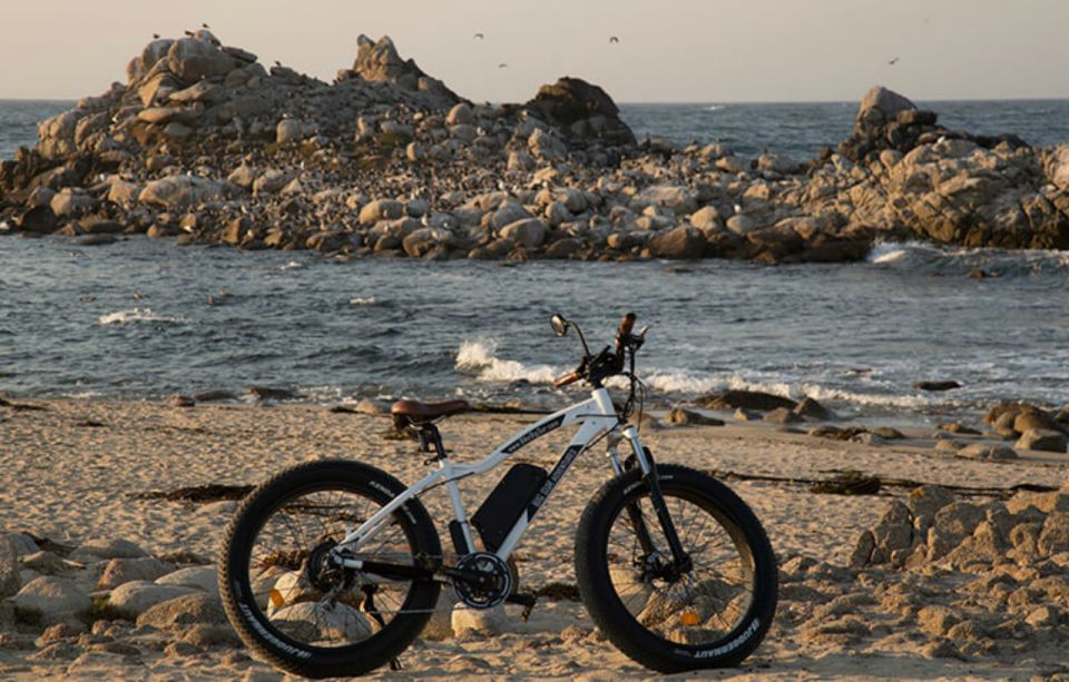 Monterey: 17-Mile Drive Guided E-Bike Tour - Review Summary and Ratings