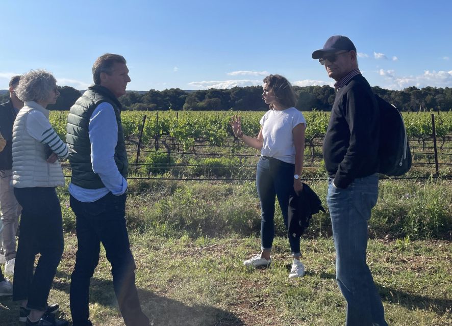 Montpellier: Half-Day Wine Tour With Lunch - Vineyard Visit