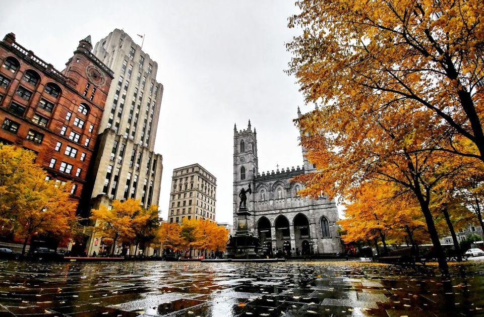 Montreal: Explore Old Montreal Small-Group Walking Tour - Meeting Point Details