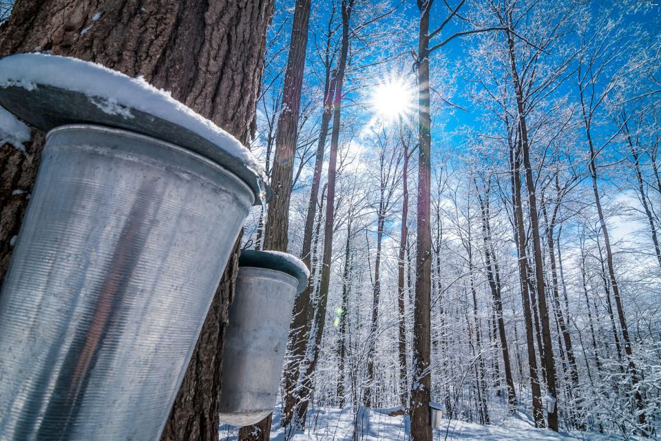Montreal: Sugar Shack Maple Syrup Day Trip With Lunch - Additional Information
