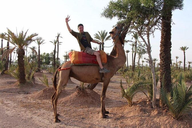 Moroccan Wine Tasting From Marrakech at Atlas Mountains & Desert and Camel Ride - Logistics and Booking Information