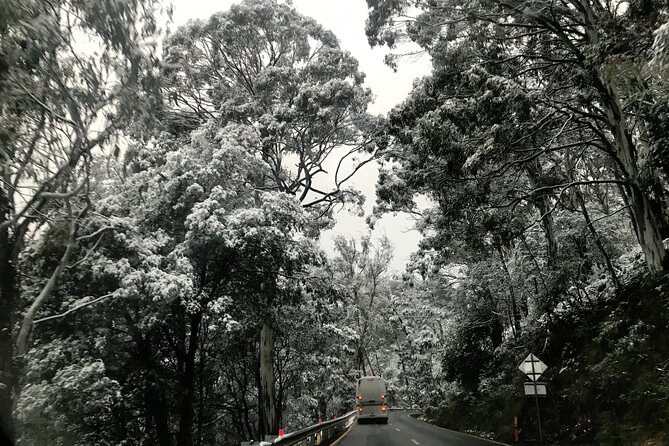 Mount Buller 1 Day Guided Tour - Last Words