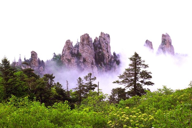 Mount Seorak and Sokcho Customizable Private Tour - Tour Guide Expertise